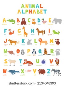 Colorful zoo alphabet poster with set of flat illustrations of cute animals for learning. ABC and English alphabet for children
