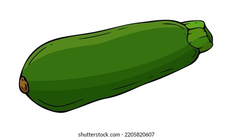 Colorful zucchini with black contour on white background