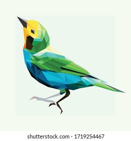 Ave abstracta colorida, ilustración vectorial