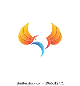 Colorfull bird logo vector design template