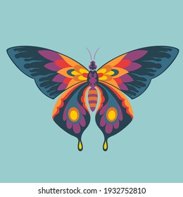 Colorfull Buterfly Vector In Ornament Style