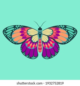 Colorfull Butterfly in Vector Design 