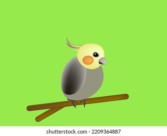 A Colorfull Cockatiel On Green Blackground. Vector