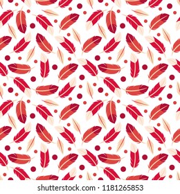 colorfull feathers pattern