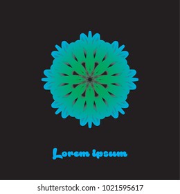 colorfull flower logo design