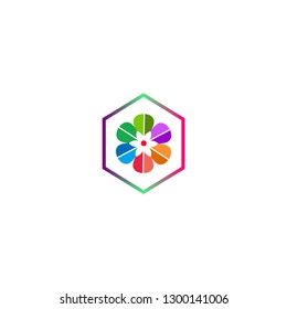 colorfull flower logo design vector