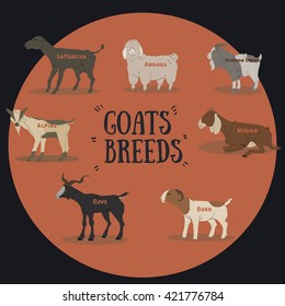 Colorfull goats breeds vector set