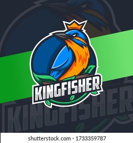 colorfull kingfisher bird mascot logo design