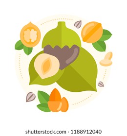 Colorfull vector banner with flat icons about mixed nuts, culinary and health nuts.
