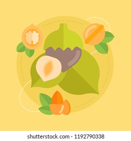 Colorfull vector banner with flat icons about mixed nuts, culinary and health nuts.