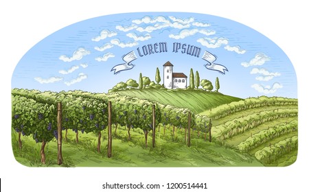 colorfull vine plantation hills, trees, clouds, and ancient castle on the horizon vector illustration