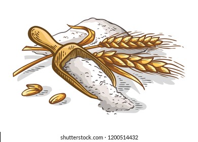 colorfull wooden scoop of fresh ears of wheat flour on white background vector illustration