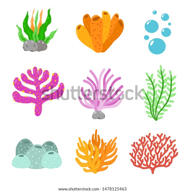 Colorfully Coral Reefs Illustration Set Stock Vector (Royalty Free ...