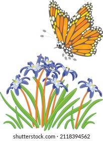 Colorfully decorated butterfly Danaid Monarch flying over beautiful wildflowers on a field, vector cartoon illustration isolated on a white background