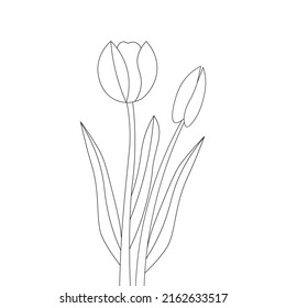 colorin page of tulip flower line drawing of black design on white background