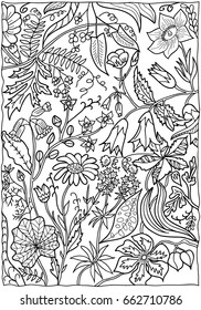 Coloring for adults. A set of decorative plant elements. Flowers, leaves, buds. Hand drawn. Black and white vector illustration.