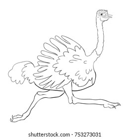 coloring  African bird ostrich is running vector illustration