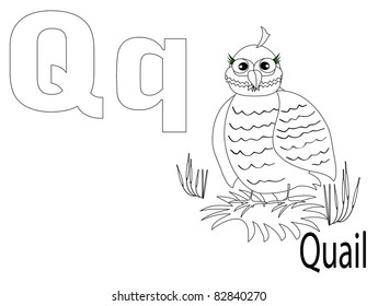Coloring Alphabet for Kids ,Q