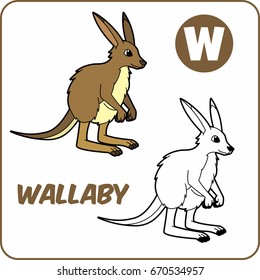 coloring animal. coloring wallaby