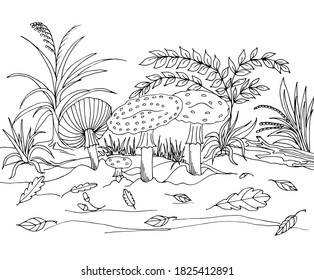 Coloring of an autumn forest glade with mushrooms, fly agarics, leaves, acorns, and plants. Vector illustration for a book, greeting card, poster, sticker, design, wallpaper, game.