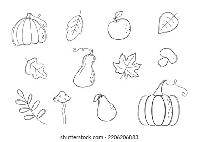 Coloring. Autumn set - pumpkins, autumn leaves, mushrooms, apple, pear. illustration in flat simple style with black stroke outline. vector design element isolated on white background