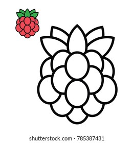 Coloring Berry Fresh Fruit Vector For Children Illustration Design