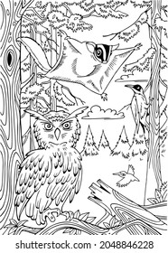 Coloring. Birds, Owl, Flying Squirrel In The Forest. Outline Style. Vector Illustration.