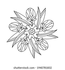Coloring book for adult and children. Mandala of Flowers, buds and leaves, hand drawn vector illustration