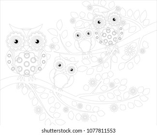 Coloring book for adult and older children. Coloring page with cute owl and floral frame. Outline drawing in zentangle style