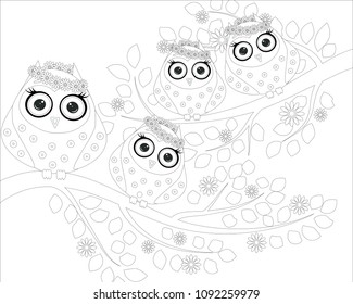 Coloring book for adult and older children. Coloring page with cute owl and floral frame. Outline drawing in zentangle style