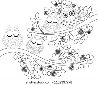 Coloring book for adult and older children. Coloring page with cute owl and floral frame. Outline drawing in zentangle style