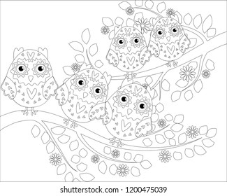 Coloring book for adult and older children. Coloring page with cute owl and floral frame. Outline drawing in zentangle style