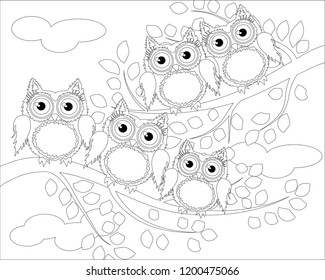 Coloring book for adult and older children. Coloring page with cute owl and floral frame. Outline drawing in zentangle style