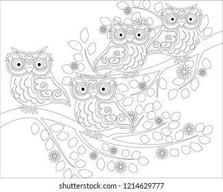 Coloring book for adult and older children. Coloring page with cute owl and floral frame. Outline drawing in zentangle style