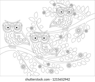 Coloring book for adult and older children. Coloring page with cute owl and floral frame. Outline drawing in zentangle style