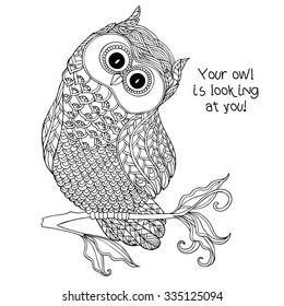 Coloring book for adult and older children. Coloring page with cute owl.  Outline drawing in zentangle style