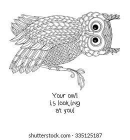 Coloring book for adult and older children. Coloring page with cute owl.  Outline drawing in zentangle style