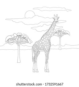 Coloring book for adults and children with a giraffe on a background of a landscape of the sky and savannah trees. Beautiful cute spotted giraffe in lines. Coloring book with kind animals herbivores