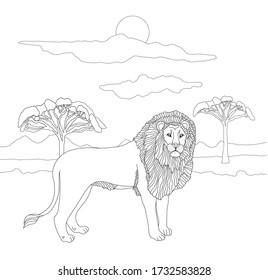 Coloring book for adults and children with a lion on the background of a landscape of sky and savannah trees. Wild cat and king of beasts in lines. Coloring book with strong animal predators in the
