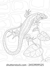 Coloring book for adults. Lizard. Black and white vector image of nature.