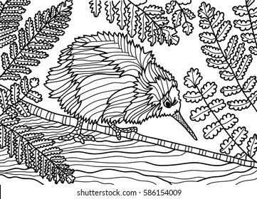 Coloring book for adults. Monochrome drawing of a kiwi bird with fern. Ink drawing. Animals Australia. Doodling vector art.