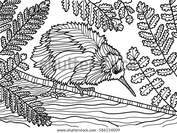 Coloring Book Adults Monochrome Drawing Kiwi Stock Vector (Royalty Free ...