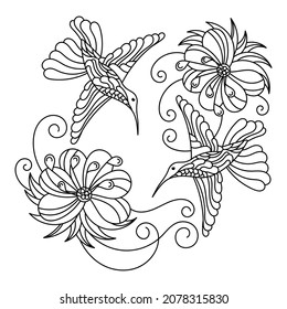 Coloring book for adults and older children, Exotic birds Hummingbirds and flowers. Hand drawn Black and white contour vector illustration