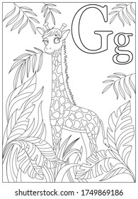 Coloring book. Alphabet. Letter G. Illustration of a giraffe in the bushes.