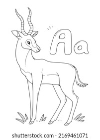 Coloring Book With Antelope With English Big And Small Letters A. Children Coloring Page Alphabet. Vector Outline Illustration With An Animal.