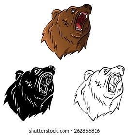 Coloring book Bear cartoon character