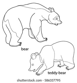 Coloring  book. Bear , teddy- bear.  Hand drawn. Adults, children.  Black and white vector illustration.