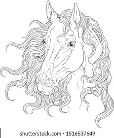 Coloring book beautiful horse portrait.