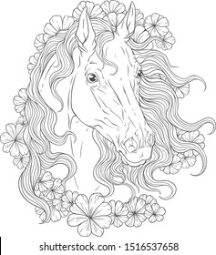 Coloring book beautiful portrait of a horse in flowers.