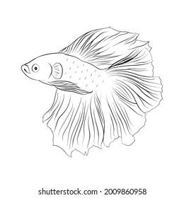 Coloring book betta fish, sketch, beautiful fish, hand draw, vector fish